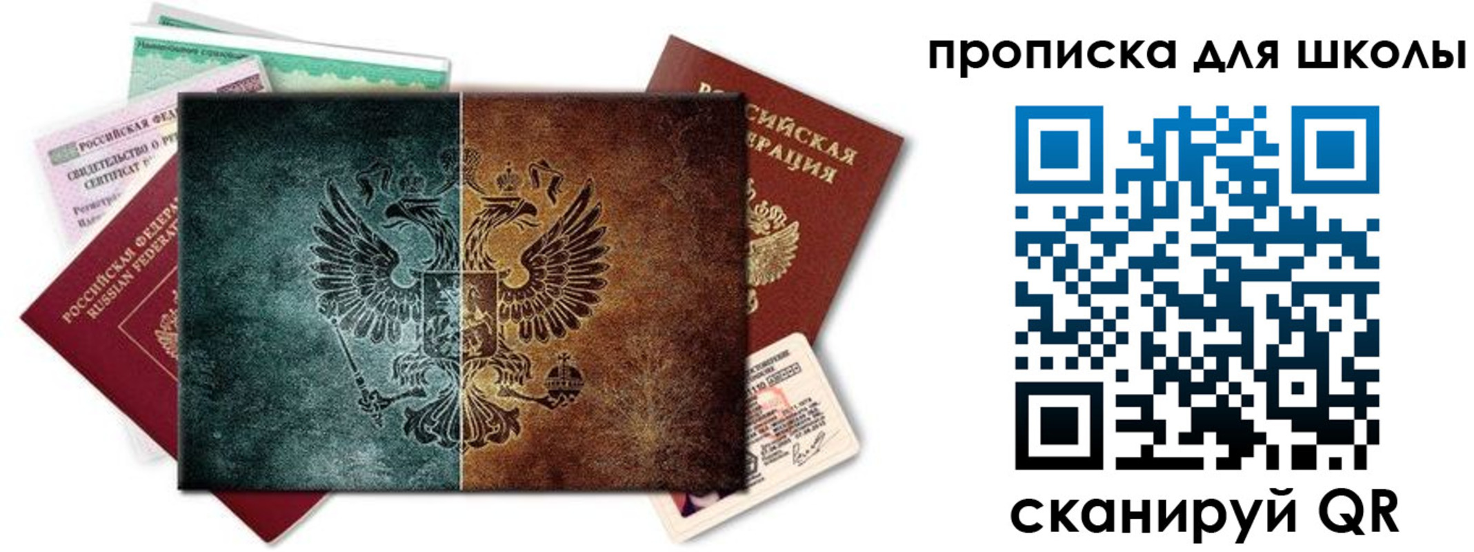 прописка гарантия в Вязьме